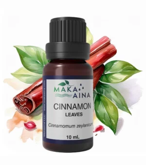 Cinnamon Leaf